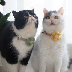 Spring and Summer New Pet Necklace Flower Collar for Cats and Dogs with Bells Small Flowers Cute Accessory Universal for Dogs and Cats