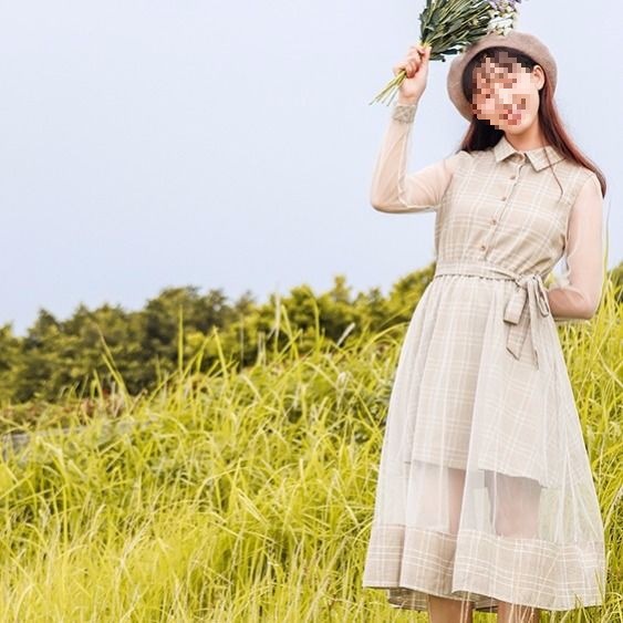 2025新夏款韩版文艺复古格子网纱连衣裙女仙女裙中长款学生长裙