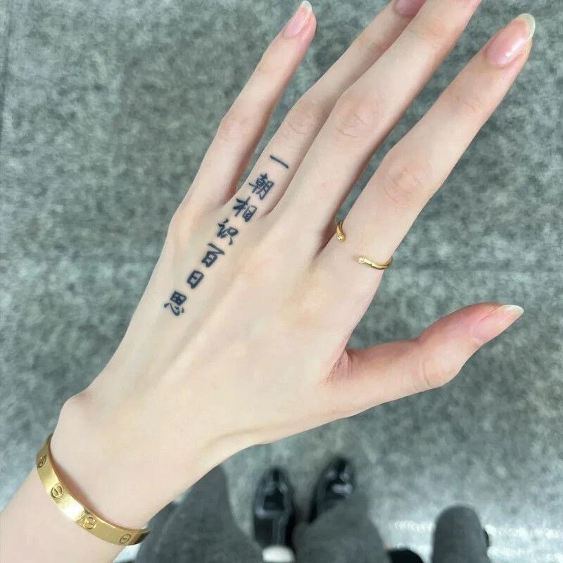Popular Style: One Day You'Ll Meet, and It Will Be a Hundred Days of Friendship. Herbal Juice Tattoo Stickers with Text, Social Permanent Tattoo, Realistic and High-End Feel