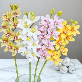 �ߙn10�^���^�m���滨��ޥ�m�͏d�Ƶ�ǰ̨�����zӰ���߼ٻ����m