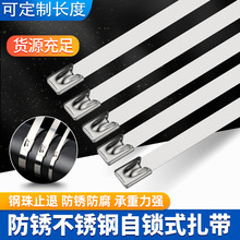 304���P����������͸ߜؽ�����������������������̶ܹ�����