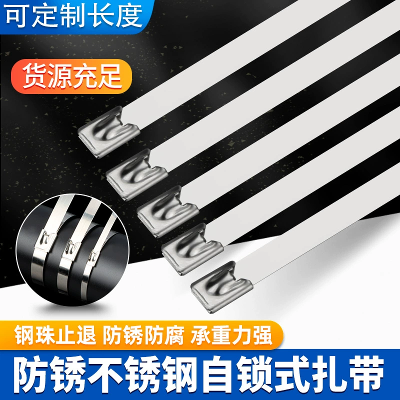 Стяжка из нержавеющей стали 304 самоблокируемый пряжка Устойчивые к высоким температурам металлические стяжки с проволочной лентой самофиксируемый фиксированный обвязка