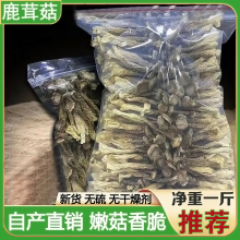 鹿茸菇干货500g鹿茸菌新鲜营养商用脆蘑菇野生菌干香菇土特产