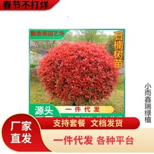 һlt~ʯͥԺͺeԼt_eСhʠG