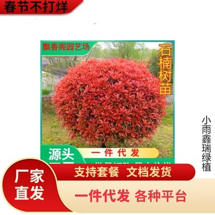 һ�����l�t�~ʯ������ͥԺ�ͺ��e�����Լt�_�eС��h�ʠ��G����