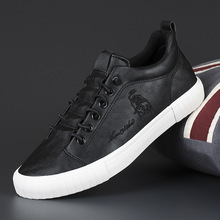 2026�����¿�͎����eƤЬ����Ь���_�ɾo��늽���ʿ�ٴ��n����Ь