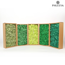 ����̦�\�Z¹�\̦�\���l�bY���b��̦�\��̦�\ˇ�g��̦