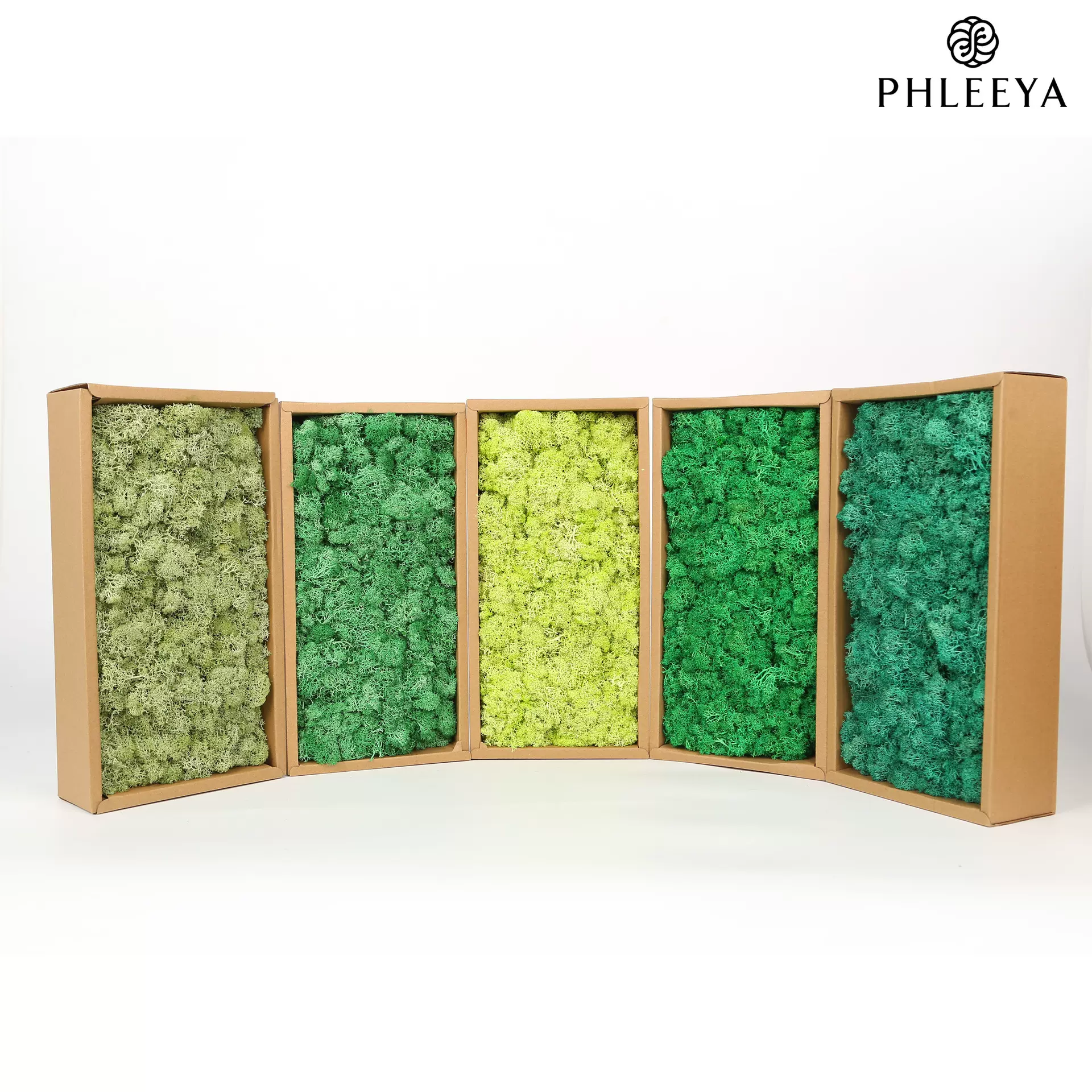 永生苔藓驯鹿藓苔藓批发装饰礼盒装修苔藓墙苔藓艺术青苔