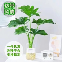 ����ˮ��ֲ�������҃ȾGֲС��ʹ���B���ܿ͏d�����՚��ļ����B