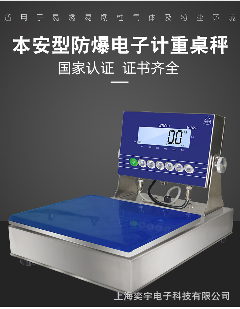防爆电子秤