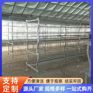 加工定制H型蛋鸡笼三层四层立式鸡笼层叠式养殖笼养鸡用具设备鸡