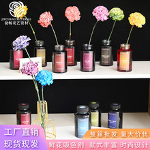 300ml鲜花染色剂吸染郁金香吸色剂花艺资材DIY花束上色剂花店用品