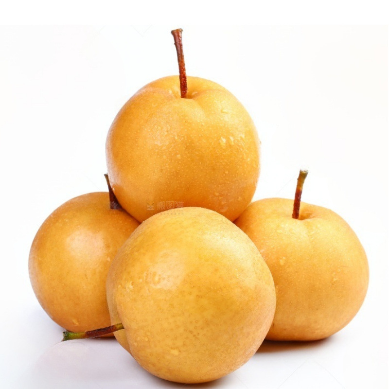 新鲜丰水梨农场直发新鲜美味丰水梨甜多汁脆甜多汁现摘头茬