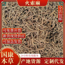 现货批发散装500g包邮火索麻草药山货虫草王 野芝麻麻纽塞扭索麻