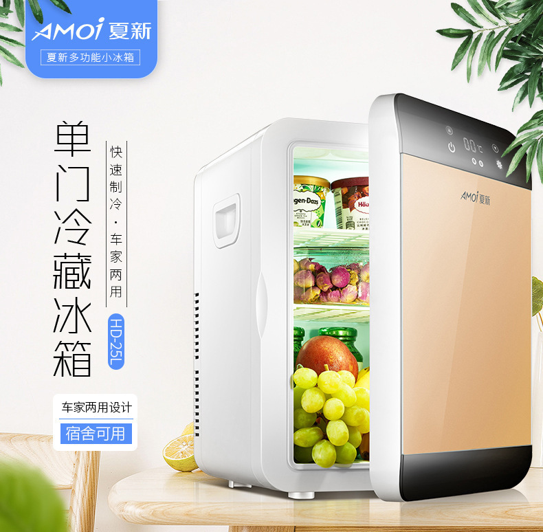 Xiaoxin Car Refrigerator Mini Small Refrigerator Household Small Cooler Beauty Products Mask Refrigerator Preservation Small Refrigerator