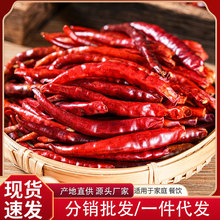 �����ɽ������500g����������ɢ�b�������콷��������������