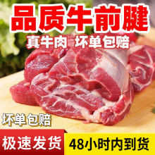 正宗牛前腱前腱肉生牛肉批发新鲜调理牛肉冷冻肉类炖卤好吃非牛腱