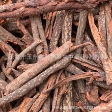 �����]���ٶ��ټt�����ٰ��z���u���� ÿ��500�� ��ʮ��С�r�l؛