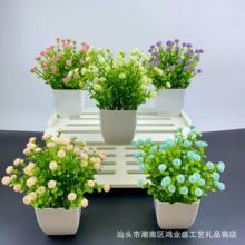 �����ȼ����M�������������ϼٻ��羳ֲ�����������bGֲС�[��