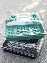 ֲ��B��Nֲ�����ͥ�бP�����ռ{�𲥷N���B���B�����~����