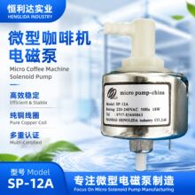 SP-12A立式微形咖啡机电磁泵 低噪音高压电磁泵8mm 蒸汽地拖
