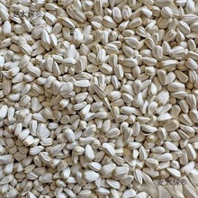 红花籽 红花子 红花籽 鸽粮 鸟食鸟粮仓鼠饲料 小宠零食 50麦太保