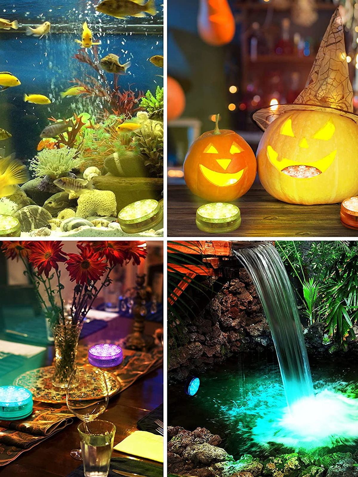 O1CN01CkNQSK2A4ki5zBhqO_!!941718150-0-cib.jpg?__r__=1660200909009