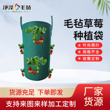 ���R�d���ë�ֲ�ݮ�Nֲ�� �o�����Ӻ�ֲ�����������ë�ַNֲ��