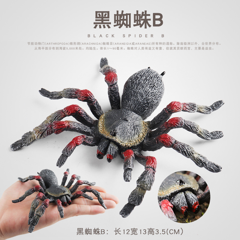 仿真科教認知蜘蛛網蟲扁蛛毒蜘蛛模型昆蟲動物節日裝飾兒童玩具