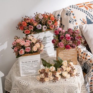 ��������õ�����ٻ�INS�L���滨�S�ҼҾ��b羳��c���lMW95006