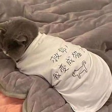 夏季宠物小中型狗狗猫咪衣服轻薄款背心透气防晒毛可爱搞怪