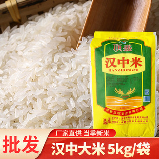 ���l���ۏS��ֱ������h�д��םh������5kg�i�������םh�r�����