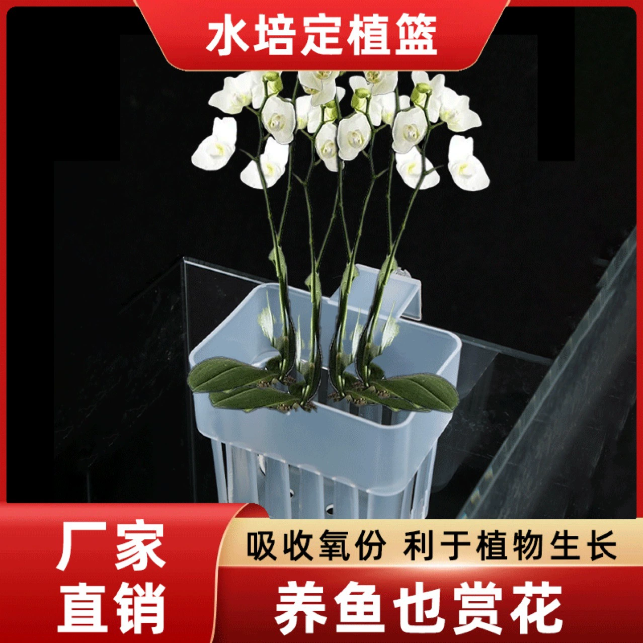 Гидронный синий аквариум Настенная гидропонная корзина для посадки Домашняя пуговица выдолблена фиксированная синяя аквариумная аксессуары оптом