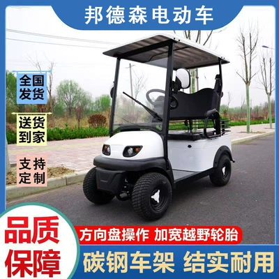 The New Bonderson E600 Electric Four-Wheeler with Steering Wheel and Two Seats Is Suitable for Property Patrol Electric Vehicles
