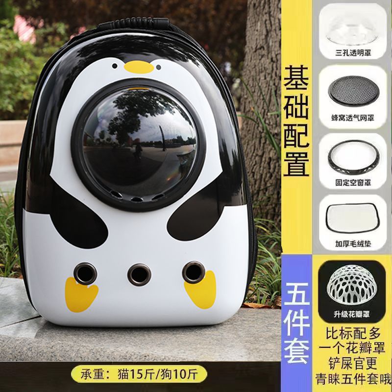 작은눈펭귄 [검은원]