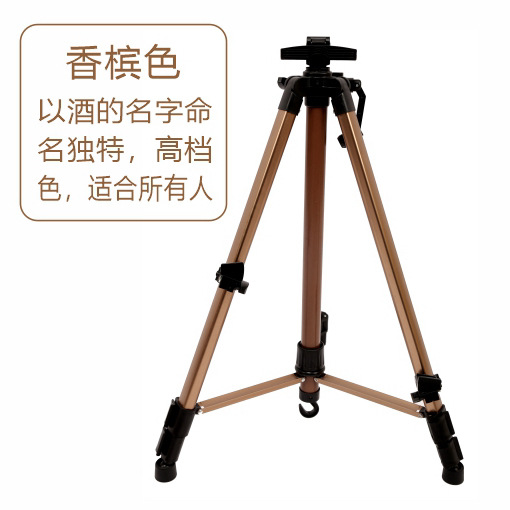 샴페인 색상 (알루미늄) 작은 손