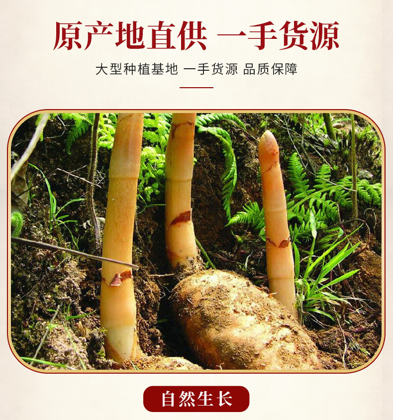 Tian Ma Powder Gastrodia Root Powder 500g Yunnan Gastrodia elata Herbal Powder overview