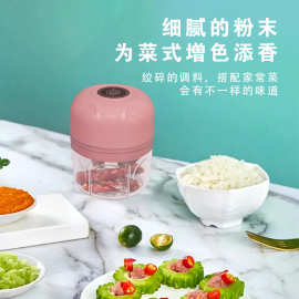 电动料理机家用小型自动搅拌神器多功能迷你绞肉机蒜沫机
