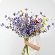 2���֦���Ļ����滨��c��ˇ��Yܛ�b�Ƶ��b������l�����ٻ�