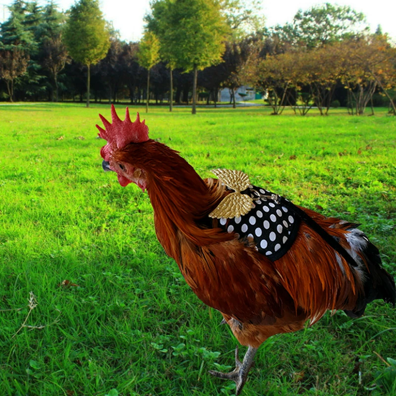 Одежда для петуха Куриная утка Весна Лето Осень Зима Накидка Куриный утиный жилет Петух Курица Тяговая веревка Амазонка