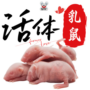 ���w����β�����߽����������Z���DС����t��Ƥ��˪ù��Ʒ�|���]
