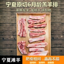 �������r�F�����⌎�Ğ���5����ץ�ߑ𸫷ǃ��ɹ��}���½�������