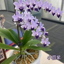 �󻨺����m���������Ի����҃Ȼ��ܾGֲ�辰�ļ��_���^�����l