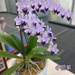 �󻨺����m���������Ի����҃Ȼ��ܾGֲ�辰�ļ��_���^�����l