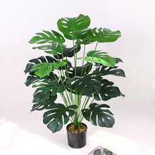 �����Gֲ���������Gֲ�߼��д��~���k������ؼ٘������~���l