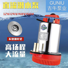 不锈钢直流泵12V24V电动车家用小型抽水泵农用灌溉浇菜电瓶潜水泵