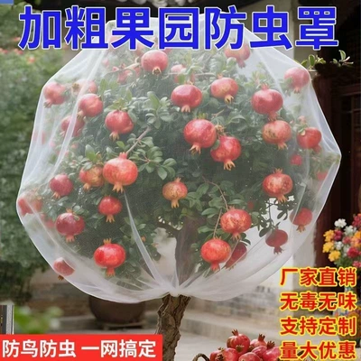 cherry, blueberry orchards and potted plants, Automobile anti-insect net