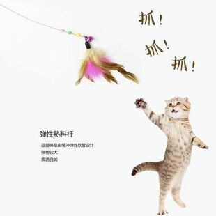 ���ƶ�؈�����l䓽z��ë��Q�^����؈��␞���������Ʒ����؈�U