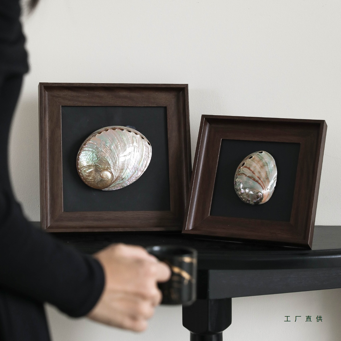 高档天然海螺装饰画客餐厅电视机柜卧室贝壳摆台画中古风桌面摆件