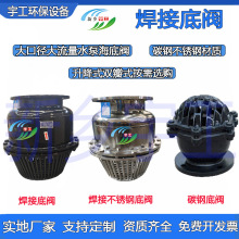 H42X-2.5法兰底阀水泵海底阀不锈钢大流量口径水笼头止回阀
